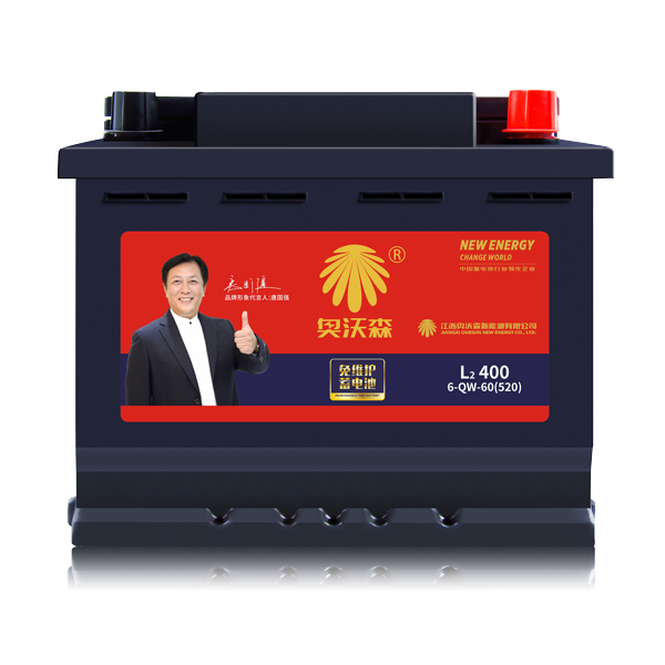 普通免維護(hù)系列